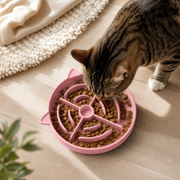Cat eating kibble from the blush pink Pace & Purr slow feeder
