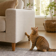 Cat beside a fabric sofa protected with ClearClaw