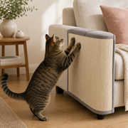 Brown tabby using the SofaShield sisal scratch guard