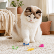 Ragdoll cat touching a compact Spring Fling toy